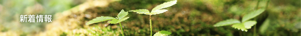 新着情報